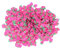 Fruit Nail Art Slices, Nail Art Slices with Fruit Shaped, Polymer Clay Nail Art Cellphone Glasses Decoration Accessories 10g/pack, Nail Charms for Lip Gloss Nail Art DIY(Pink strawberry)