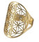 LIKGREAT Blume des Lebens Ring verstellbare filigrane Blume Ringband für Frauen große hohle Fingerringe Cosplay Party Schmuck (verstellbarer, 316, Goldton)