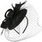 Beaupretty Stirnband Schwarzer Hut Mit Schleier Brautschleier Fascinators Hut Schleier Mesh Hut Stirnband mit Schleife 20Er 50Er für Schwarz Damenhut Hochzeitshüte