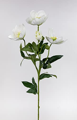 Seidenblumen Roß Christrose 62cm weiß PM Kunstblumen künstliche Christrose Blumen Helleborus