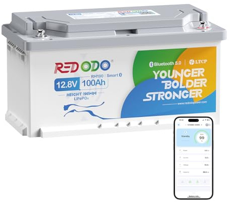 Redodo 12V 100Ah H190 (1 Pack) Batteria Litio con Bluetooth | BMS 100A, 1280Wh, Basse Temperature, IP65 Impermeabile, Max 4P4S per Camper e Autocaravan, Trolling Motor, Accumulo Domestico