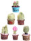 KOMBIUDA Landschaft Topfpflanzen 6 Stücke Mini Bonsai Modell Sammlung Bonsai Kit Tiny House Decor Garten Ornament