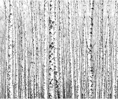 decomonkey - Papier Peint Panoramique Foret 350x256 cm - Décoration murale moderne – Tapisserie décorative pour chambre salon - Arbres forestiers