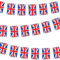 Amscan 9913041 Rwb Large Gb Plastic Flag Bunting (6Pcs, 10m)