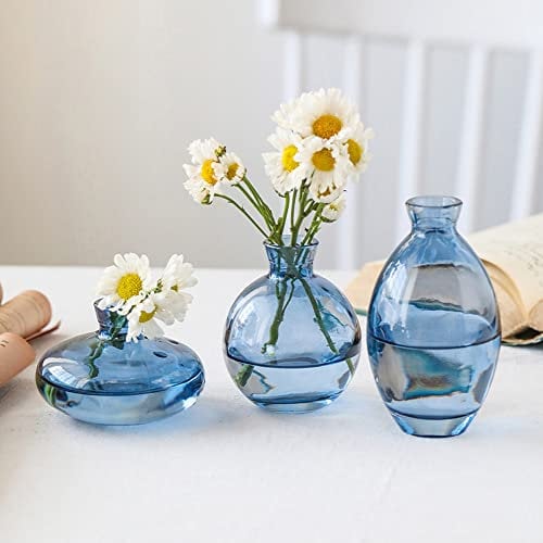 Hniuyun Lot de 3 vases en verre, mini vases à bourgeons de fleurs, vase hydroponique transparent, minimaliste, esthétique, décoration d'intérieur (bleu)