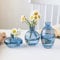Hniuyun Lot de 3 vases en verre, mini vases à bourgeons de fleurs, vase hydroponique transparent, minimaliste, esthétique, décoration d'intérieur (bleu)