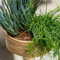 DARO DEKO Rattan Korb Schale Ø 25 x 11cm rund mit Einsatz Blumentopf geflochten Aufbewahrungskorb Übertopf Blumenkorb