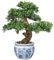 Briful Kunstbonsai Naturgetreue Kunstpflanze Wie Echt Künstliche Bonsaibaum mit Keramiktopf für Bad Büro Fensterbank Dekoration, Höhe 43cm