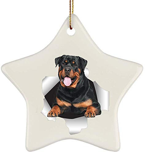 Christbaumschmuck Keramik Weihnachtsbaum Deko Mit Hanfseil Weihnachtsanhänger Lustiger Rottweiler Black Tan, Der Aus Einer Rissigen Wand Kommt