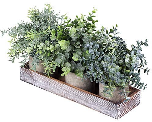 Set of 3 Mini Potted Artificial Eucalyptus Plants Faux Rosemary Plant Assortment with Wood Planter Box for Indoor Office Desk Apartment Wedding Tabletop Greenery Decorations 8.7 Tall