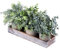 Set of 3 Mini Potted Artificial Eucalyptus Plants Faux Rosemary Plant Assortment with Wood Planter Box for Indoor Office Desk Apartment Wedding Tabletop Greenery Decorations 8.7 Tall