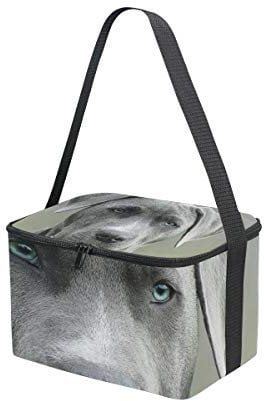 FANTAZIO Lunchtasche für Mahlzeiten, Schwarz und Weiß, kurzer Mantel, Hund, Kühlakku