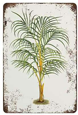 Blechschild im Vintage-Stil mit Illustration – Dictyosperma Album als Areca Aurea, auch bekannt als Palme oder Hurrikan, Vintage-Stil, Wanddekoration, Geschenk für Mutter, Vater, Freunde, Blechschild,