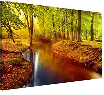 Magnettafel Pinnwand für Magnete Wald Bäume Natur Magnetboard - Magnetwand Made in Germany - Kunstkopie Modern Notiztafel orange Küche Flur Büro Visionboard WBMT_1293 (60x40cm)