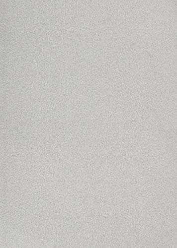 TP-Link Alcohol Ink Cardstock Silver Sparkle Medium RGRTAC.65500