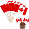 YXHZVON 100 PCS Banderas de Palillos de Dientes de Canadá, Bandera de Palillo de Cóctel Mini Bandera para Fiesta Pastel Sándwiches Pub Frutas Decoración del Evento Real