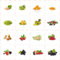25 piezas Semillas de grosella espinosa, plantas decorativas de árboles frutales, grosella espinosa, Ribes uva crispa, decoración de salón, plantas resistentes al invierno para balcón,