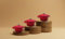 Lot de 3 mini cocottes en fonte émaillée rouge avec couvercle 17,5 x 12 x 9,5 cmHaute Température Four Pour Petits Plats
