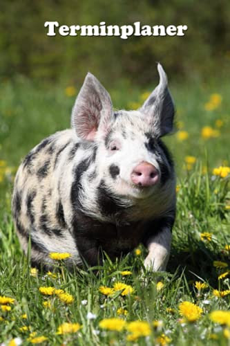 Terminplaner: Rennendes Schwein - Kalender - Wochenplaner - Jahresplaner - 1 Woche je Doppelseite (immerwährende Terminplaner, auch für 2023)