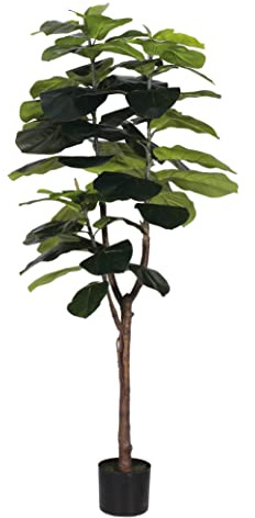 Blooming Artificial Plants Indoors in Pots, Faux Decorative Foliage, No Hassle, Easy Care, Perfect for Bringing Life to Indoor Spaces (Fiddle Leaf Fig) (Green) (150cm)
