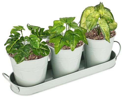 CTDMJ Lot de 3 pots de fleurs en métal avec plateau d'égouttement, pots à herbes aromatiques pour rebord de fenêtre de cuisine, pot à herbes aromatiques extérieur/intérieur, pots de fleurs pour