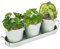 CTDMJ 3Pack Metal Plant Pots With Drip Tray, Herb Pots For Kitchen Windowsill, Herb Planter Outdoor/Indoor Herb Garden, Herb Pot Planter Set Window Pots for Plants & Flowers Pot,Succulent/Olive Green