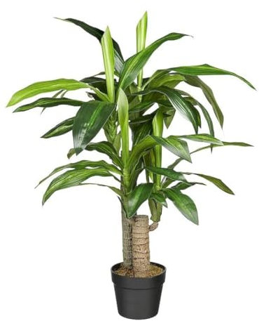 HTT Decorations - Künstlicher Drachenbaum (Dracaena Fragans) - Hochwertige Kunstpflanzen - 90cm hoch