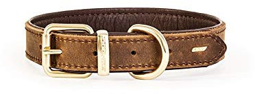 EzyDog Oxford Hundehalsband Leder- Premium Lederhalsband - Hunde Halsband für Kleine und Große Hunde, Naturleder, Verstellbares, Gepolstertes (S, Braun)