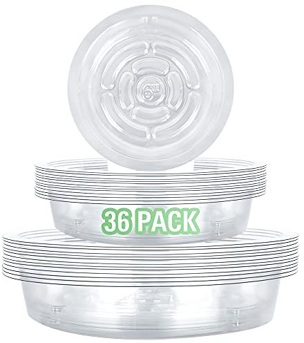 JonesHouseDeco Lot de 36 soucoupes transparentes en plastique PVC pour pots de fleurs - 15/20/24 cm - Idéal pour l'intérieur et l'extérieur