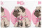 Fun Mops Teller Matte 30,5 x 45,7 cm, 6 Stück, hitzebeständig, waschbar, für Küche, Restaurant, Hotel, Tischdekoration