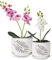 LITUDISO Keramik Orchidee Topf, 5+6 Zoll Keramik Hohl Orchidee Töpfe (Weiß)