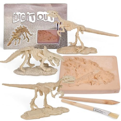 MIJOMA Dinosaurier Ausgrabungsset Dig it Out – Entdecke das Skelett | Mit Holz-Pinsel & Kratztool | Für Junge Forscher & Entdecker | Spannendes Lernspielzeug & Abenteuer in Einem | 18x11.5x3.5cm
