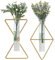 yaocoral nordische Wandvase zum Aufhängen, geometrische goldene Blumenvase, Wandhalterung, Metallrahmen, Vasen, Hydrokulturglas, Knospenvase, Dekoration für Zuhause, Hochzeit, Bauernhaus, 2 Stück
