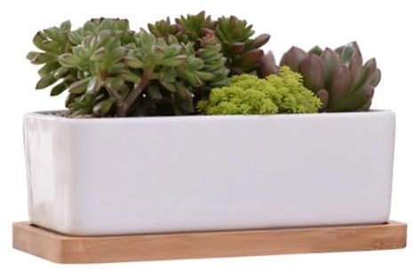 Hanzete - Maceta rectangular de cerámica blanca con bandeja de bambú para suculentas para decoración de mesa y escritorio