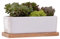 Hanzete - Maceta rectangular de cerámica blanca con bandeja de bambú para suculentas para decoración de mesa y escritorio