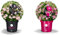 Rhododendron Bloombux® Pink – immergrüner Zierstrauch, winterhart, bienenfreundlich, ideal für Hecken & Kübel P0,5