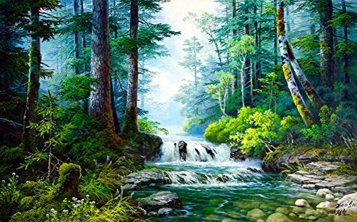 Wowdecor DIY Malen nach Zahlen Kits Geschenk für Erwachsene Kinder, Malen nach Zahlen Home Haus Dekor - Wald Grün Bäume Strom Landschaft 40 x 50 cm Rahmen