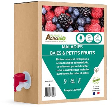 Traitement bio Maladies des baies & petits fruits (3 Litres)