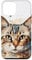 iPhone 12 mini Cat Watercolor Graphic Case