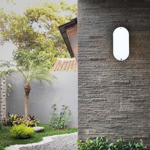 TZSMUM LED Aussen Weiß Wandlampe mit 120° Bewegungsmelder Wandleuchte IP65 Wasserdicht Wandbeleuchtung 20W Oval Garage Minimalistische Dekoration für Keller Flur Treppenhaus (1 Stück,Weißes Licht)