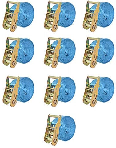 vidaXL 142655 Lot de 10 Sangles d'arrimage à cliquet Professionnelles 2 tonnes 6 m x 38 mm Bleu