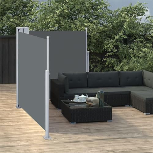 Pangshiyuan - Toldo lateral extensible, antracita, 100 x 600 cm, jiangboyue-48444