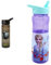 Polar Gear Football Water Tracker Bottle with Straw – Reusable Kids 600ml PP in Green & Black & Disney Frozen Water Bottle with Straw – Reusable Kids 600ml PP – in Purple