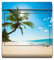 motivX-Ideenwerkstatt Briefkasten Kombi Wandbriefkasten mit Motiv Strand mit Palme