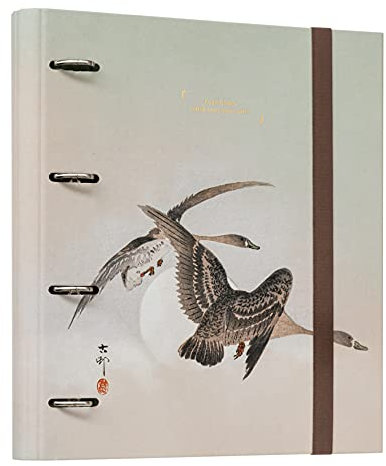 Grupo Erik Ringordner - Ordner A4 Japan - Japanische Kunst Aktenordner 4 Ringe - Ringbuch DIN A4 - Ordner für Ihre Dokumente, die Schule, die Ausbildung oder das Studium