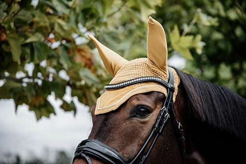 Kentucky - Fliegenhaube Wellington Velvet Senf gelb