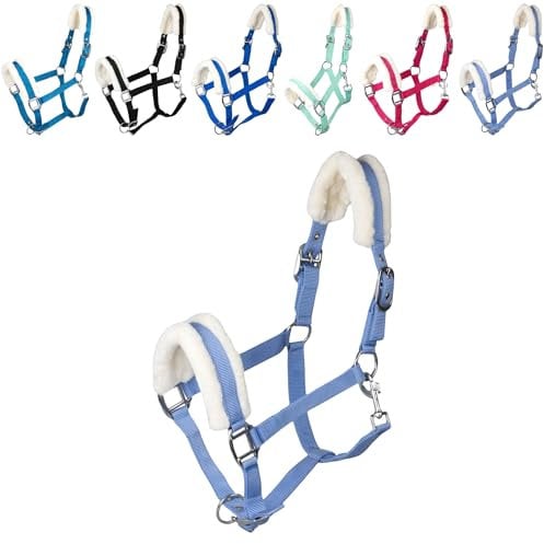 RL24 - Halfter mit Plüschpolsterung Basicline | Halfter für Pferde & Ponys | Pferdehalfter mit nietenverstärkten Verschlüssen & Karabinerhaken zum Öffnen | Pferde Zubehör in Babyblau | Warmblut