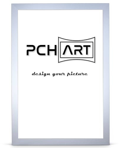 PCH[art] Bilderrahmen New Alaya | Farbe: Aluminium | Größe: 60x80 cm | zeitloser und schlichter Rahmen für Poster, Fotos und Portraits