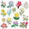 Flower Iron on Patches for Clothing 15 Pcs Applique Flowers Fabric Patches Stickers Iron-on Floral Embroidery DIY Patch Sew on for Clothes Crafts