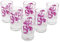 h2i 6 pezzi Shotglas 2cl calibrato